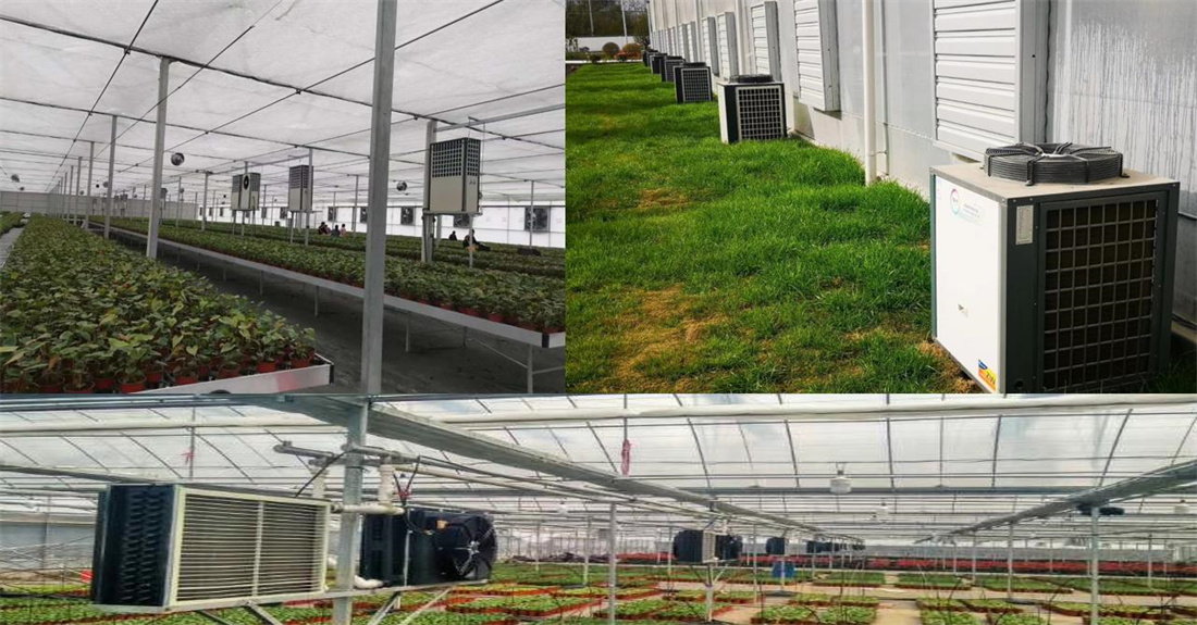 1426_4.jpg 1426_4.jpg