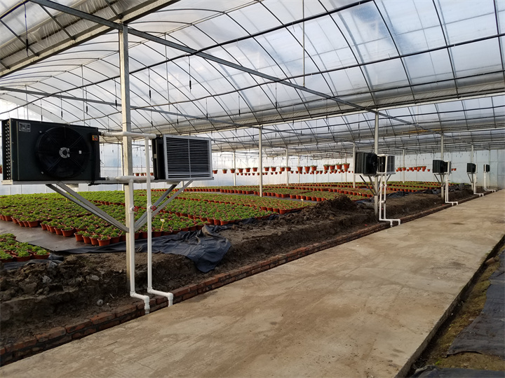 浙江平湖森鴻農(nóng)業(yè)（2018年加溫項(xiàng)目）