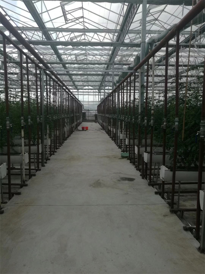 南通現(xiàn)代農(nóng)業(yè)45000平米玻璃溫室加溫系統(tǒng)