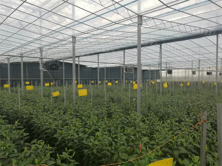 青島城陽(yáng)環(huán)灣基地